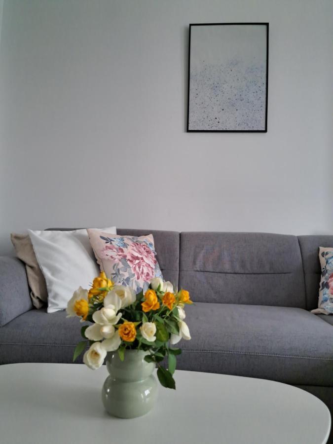 オラデアApartament Onestilorアパートメント エクステリア 写真